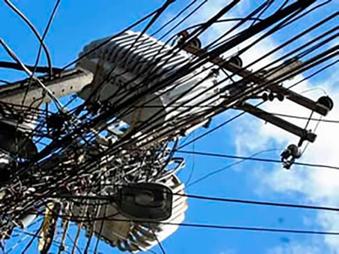 Gato na energia elétrica.