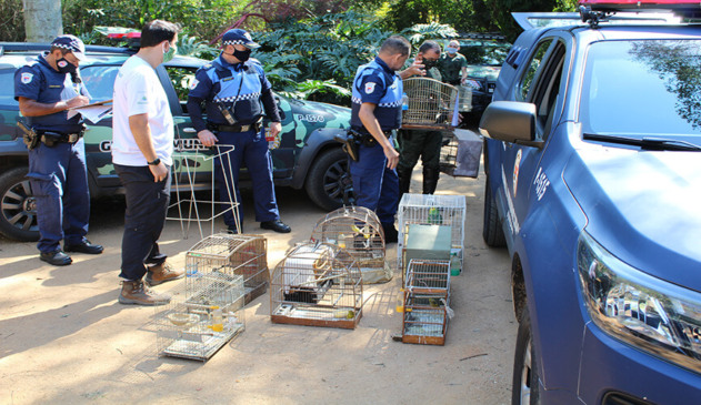 Divisão Florestal da GMJ foi acionada para apoio. (Foto: Divulgação/GMJ)