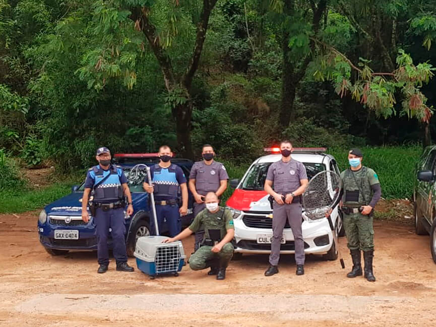 Resgate de cachorros. (Foto: Divulgação)