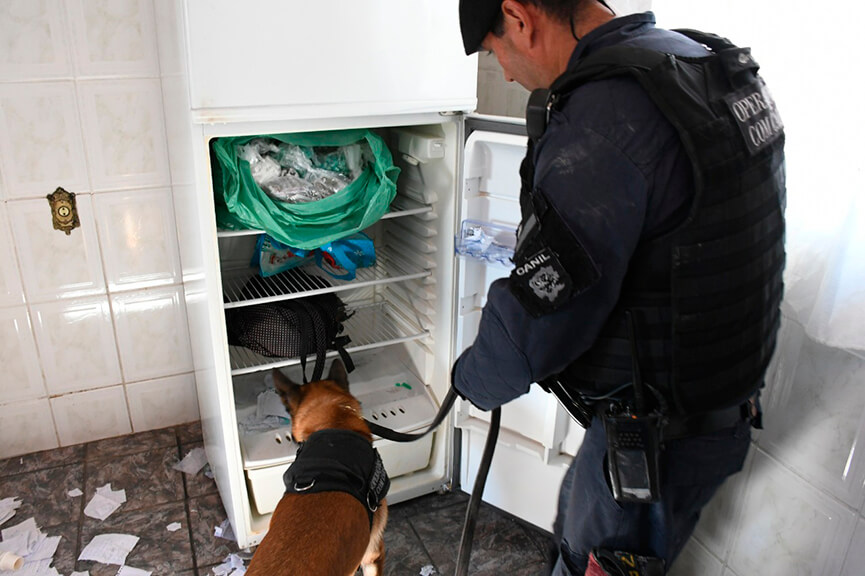 Operação da GMJ no São Camilo. (Foto: Divulgação)