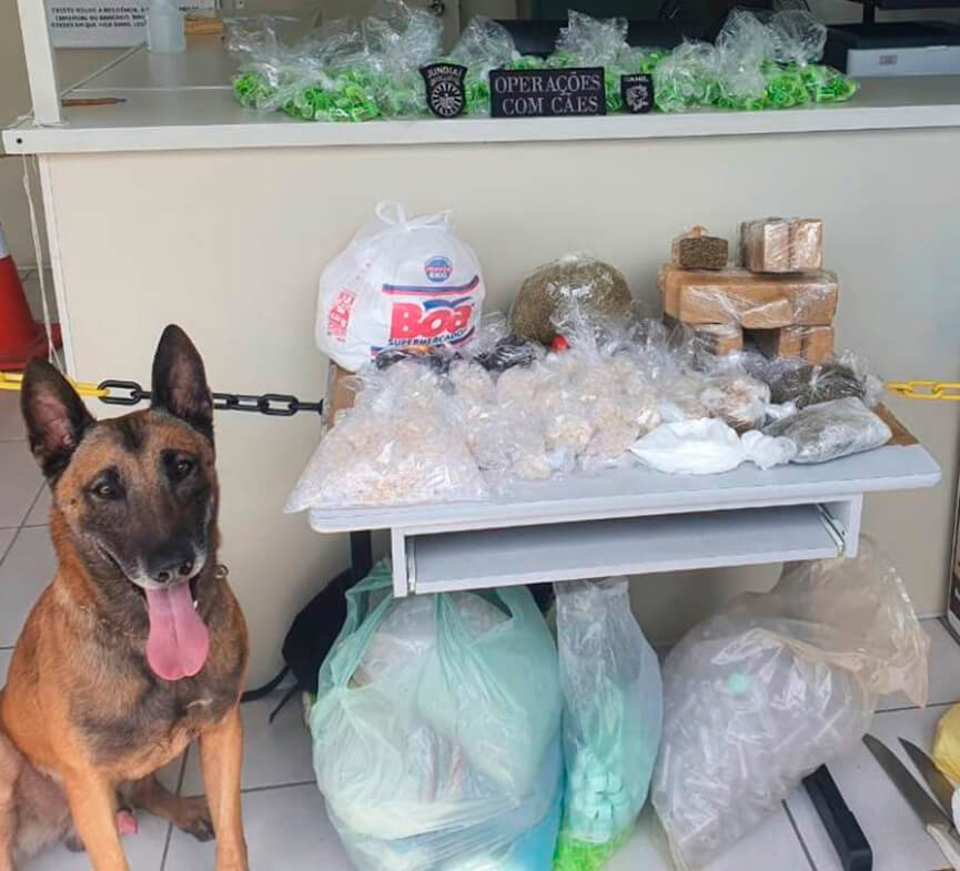 Canil da GMJ apreende drogas no Jardim Tamoio. (Foto: Divulgação)
