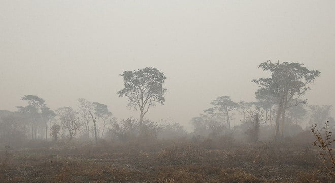 Matas queimadas após incêndio no Pantanal