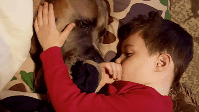 Foto: Paw My Gosh/divulgação