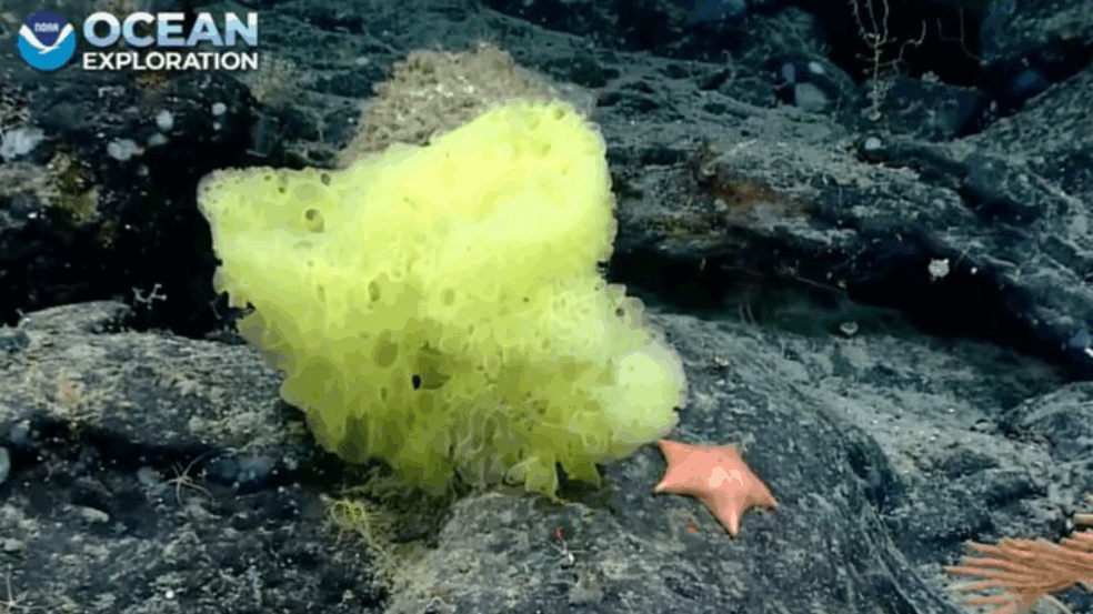 Foto: Reprodução/Razões para Acreditar