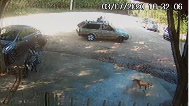Nas imagens, homem aparece no portão, inicialmente sem o cachorro marrom de médio porte, que saltou pela janela do passageiro do carro e foi deixado no local (Foto: Reprodução Prefeitura de Jundiaí)