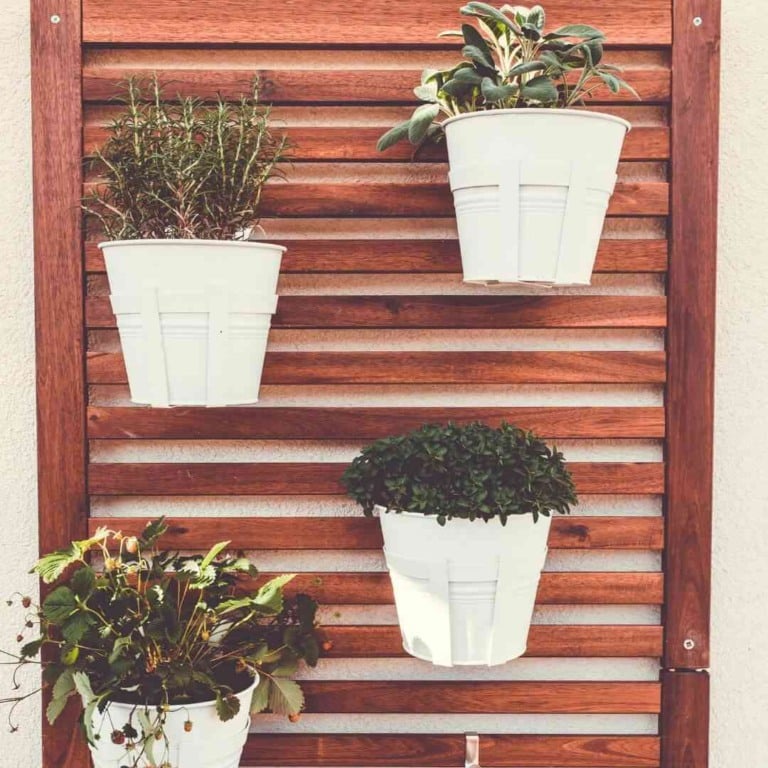 Horta suspensa em vasos bracos