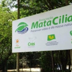 mata ciliar