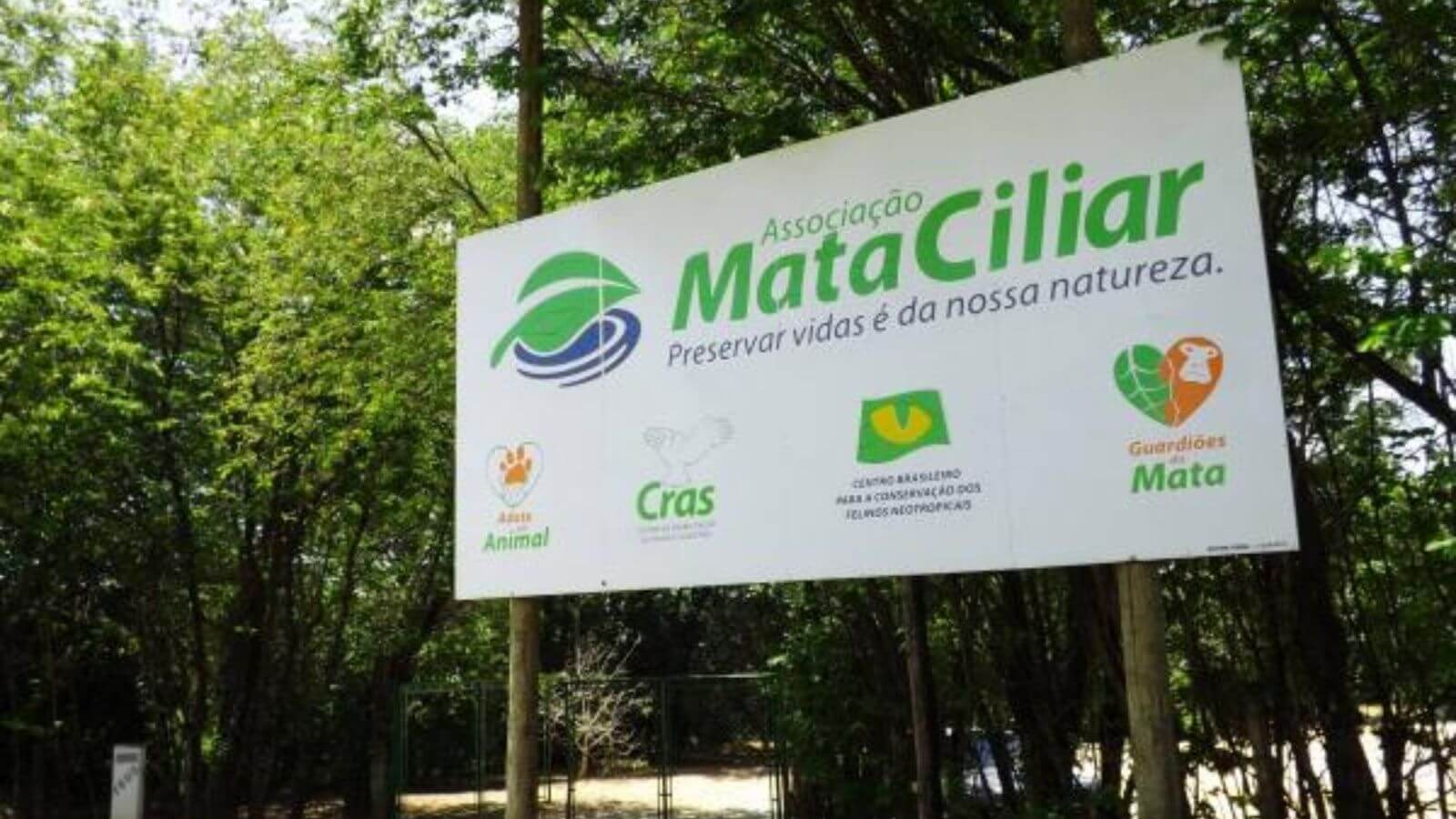 mata ciliar