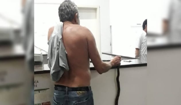 Idoso é picado por Jararaca