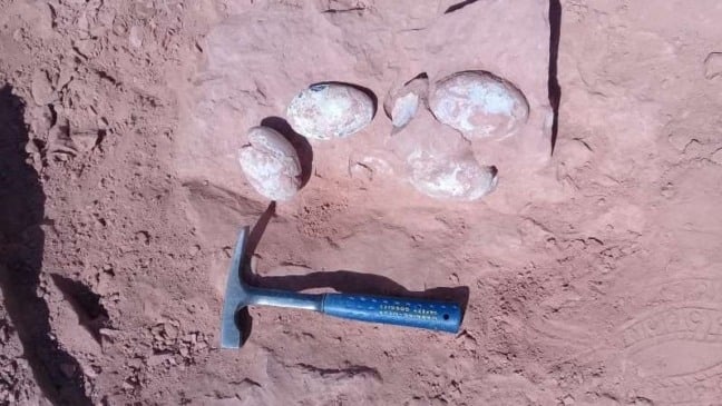 Foto: Prefeitura de Marília/Divulgação