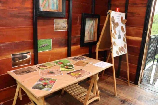 exposição no mundo das crianças