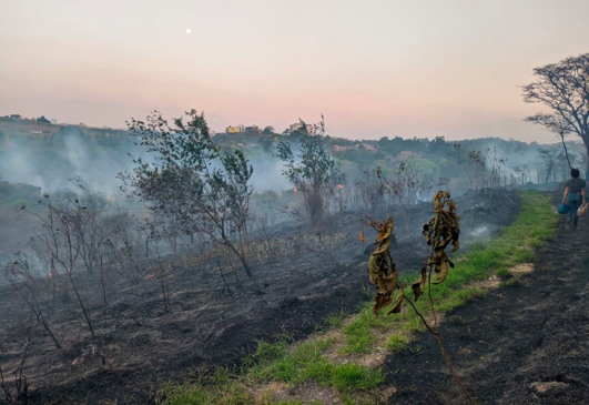 Incêndio próximo a Mata Ciliar. (Foto: Divulgação)