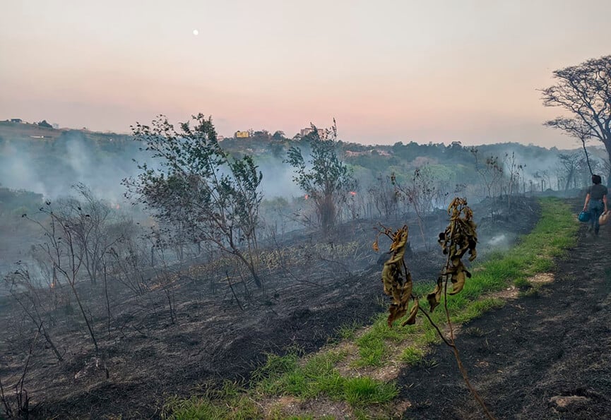 Incêndio próximo a Mata Ciliar. (Foto: Divulgação)