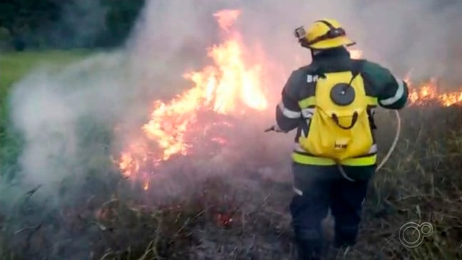 Incêndio causado por raio destrói área verde em Várzea Paulista. (Foto: TV TEM/Reprodução)