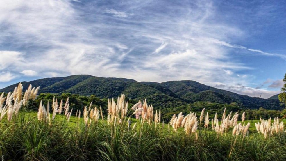 Foto: Vera Aida Borin Souza