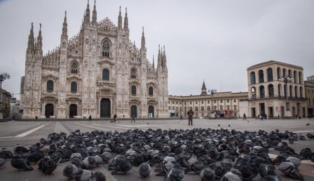 Foto de praça com pombos