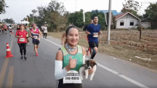 Foto: Vida que Importa