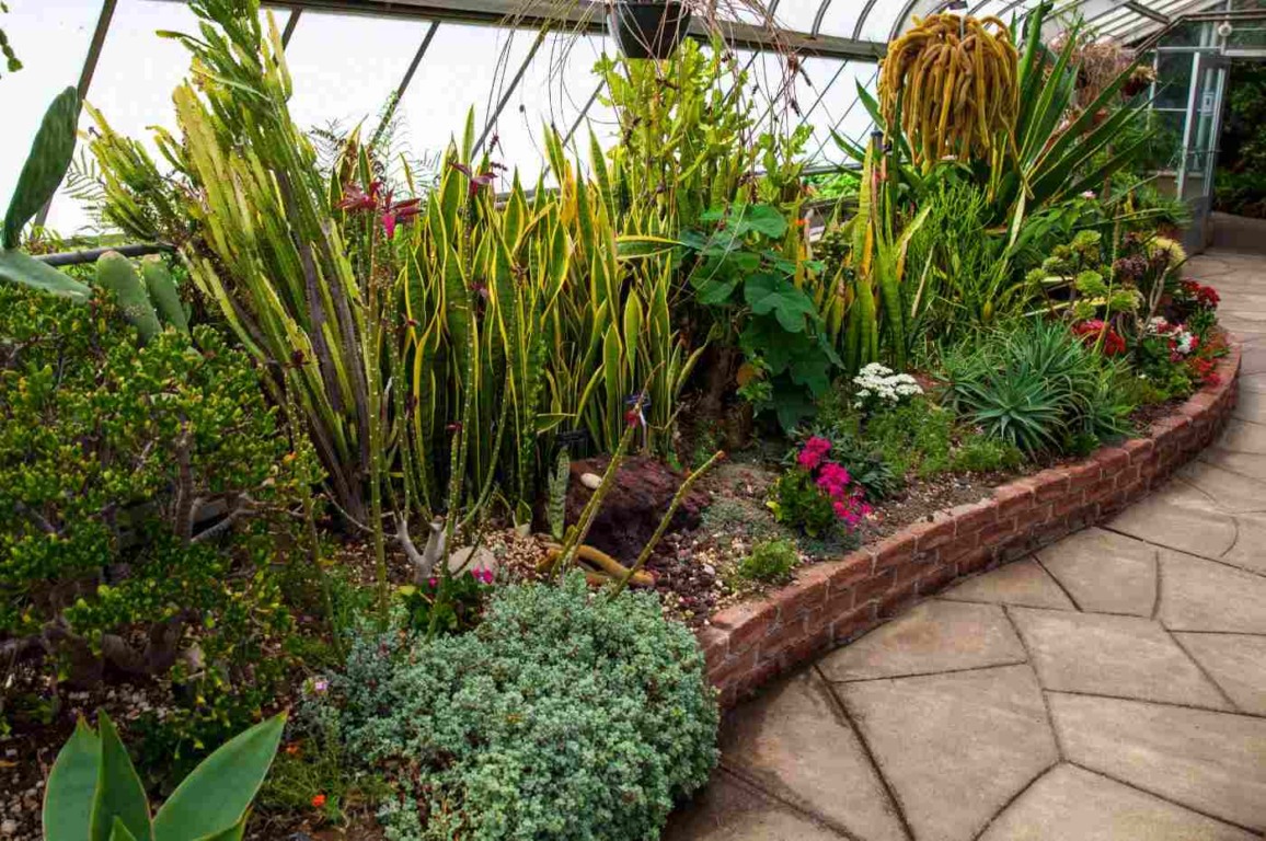 Como criar um jardim de inverno encantador em sua casa Como criar um jardim de inverno encantador em sua casa