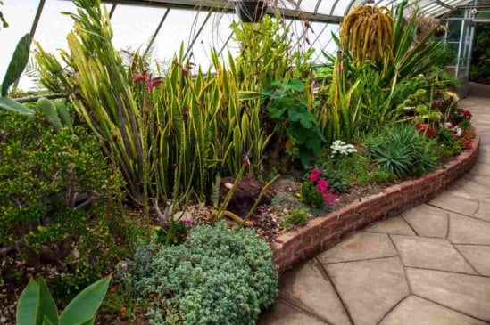 Como criar um jardim de inverno encantador em sua casa