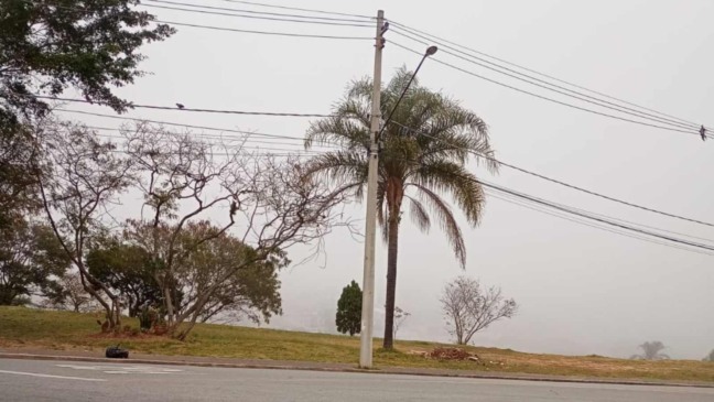 Jardim do Lago, em Jundiaí, apresenta neblina.