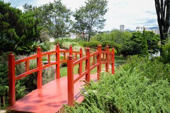 Jardim Botânico de Jundiaí. (Foto: Divulgação)