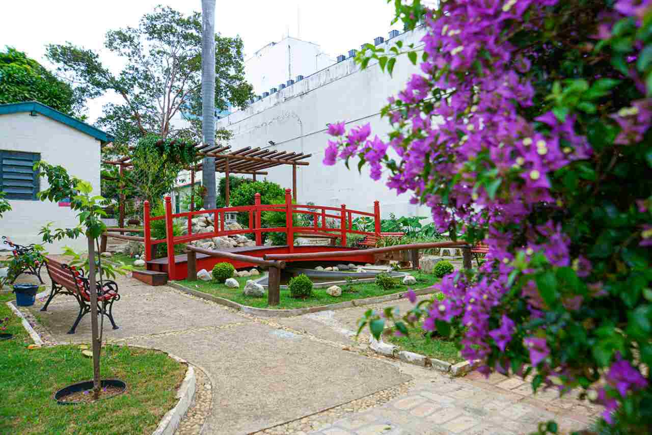 Museu Solar do Barão oferece atrações históricas na Região Central