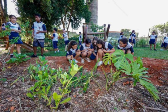 Jardins de Chuva do Projeto RenovAção já estão implementados em escolas de Jundiaí