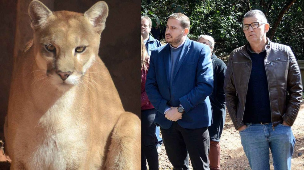 João Paulo em visita à Mata Ciliar. João Paulo em visita à Mata Ciliar.