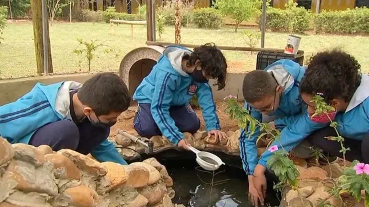 jundiai-desemparadamento-projeto-compressed