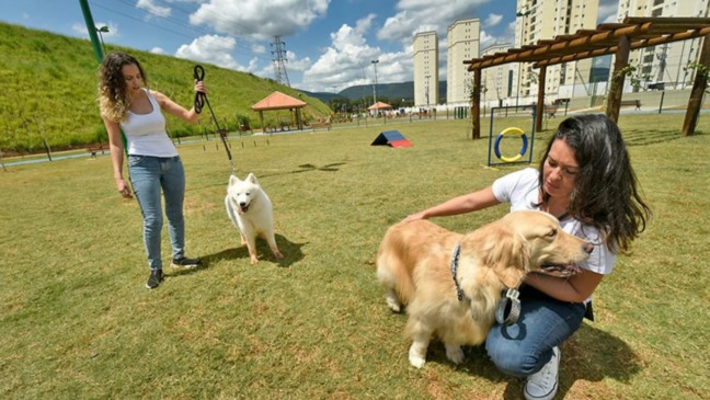 Mulheres brincando com cachorro em parque de Jundiaí
