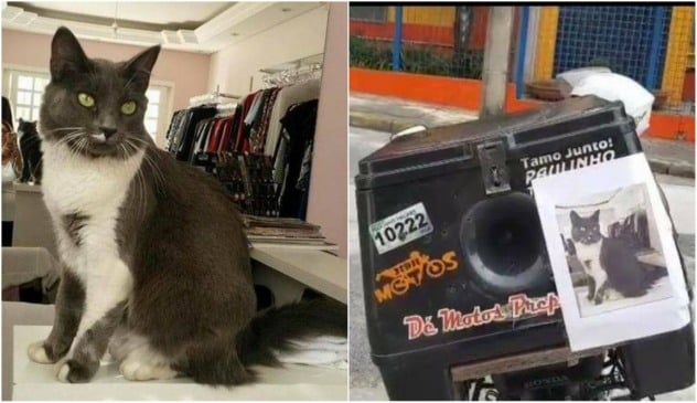 Jundiaiense investe em “motossom” e panfletos para localizar gata