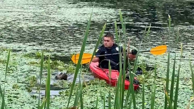 (Foto: Reprodução/catiororeflexivo)