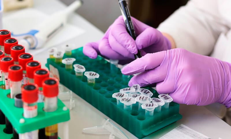 Cientistas analisa amostras em laboratório