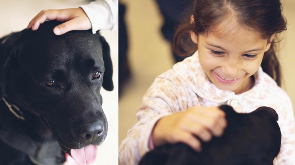 Cão Black encantou crianças e adultos no Hospital Universitário (HU) Cão Black encantou crianças e adultos no Hospital Universitário (HU)