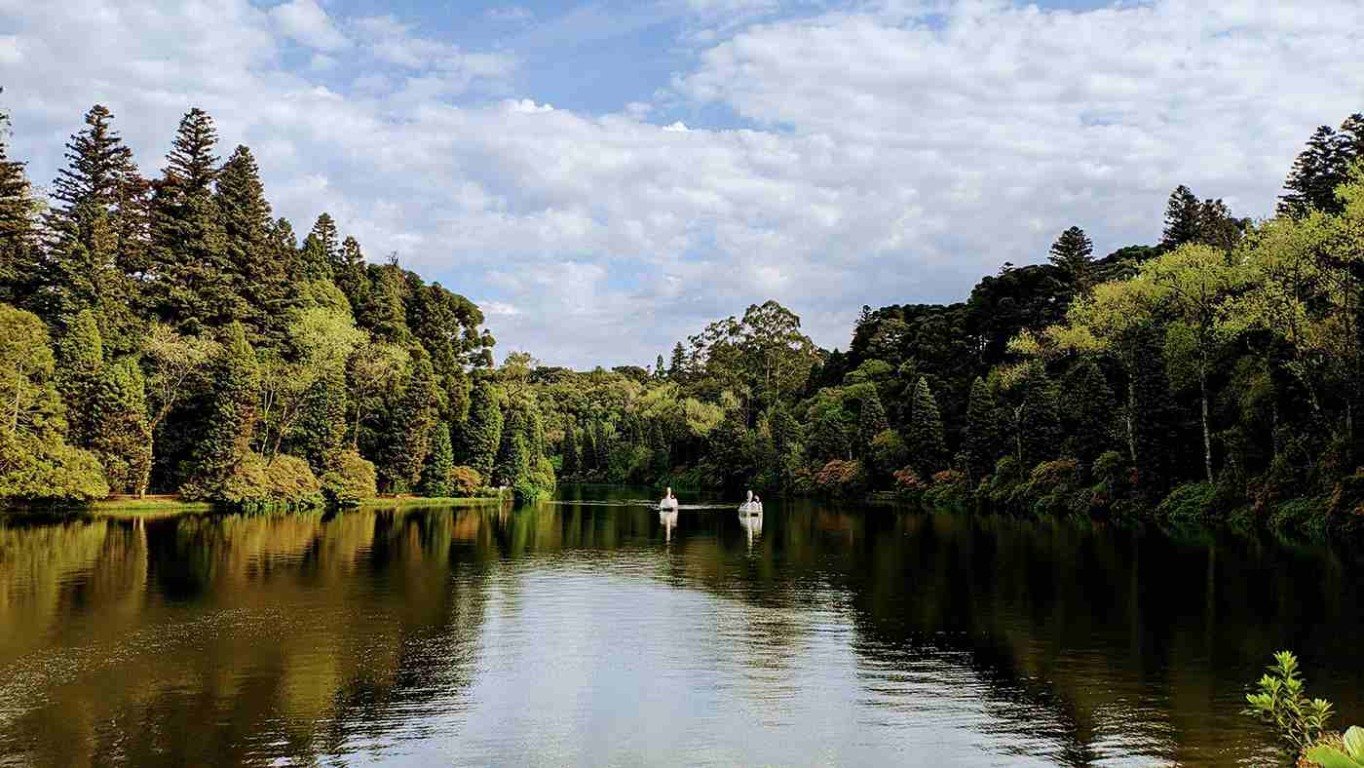 Fonte: Unsplash Fonte: Unsplash