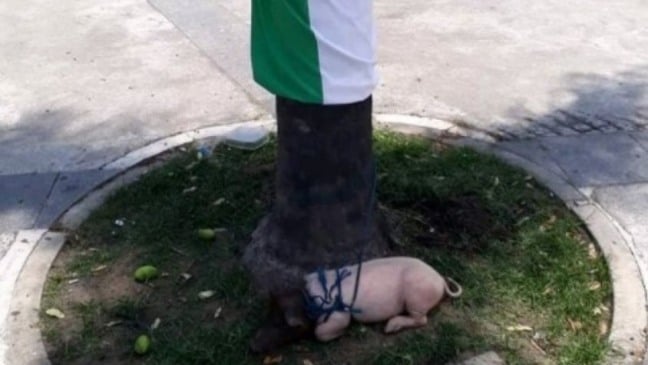 Foto: Reprodução/Instagram