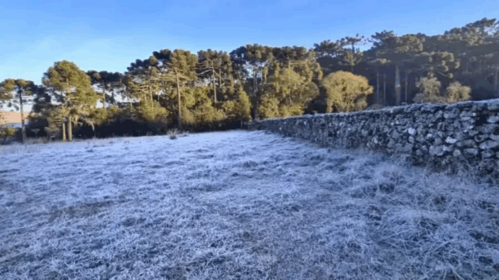 Foto: Mycchel Legnaghi/ Agência de notícias São Joaquim on line