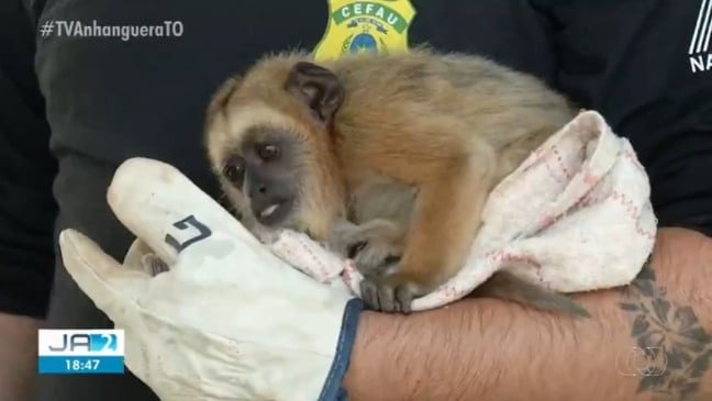 Foto: Reprodução/TV Anhanguera

