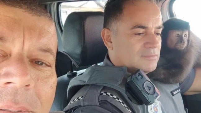 Foto: Divulgação/PM