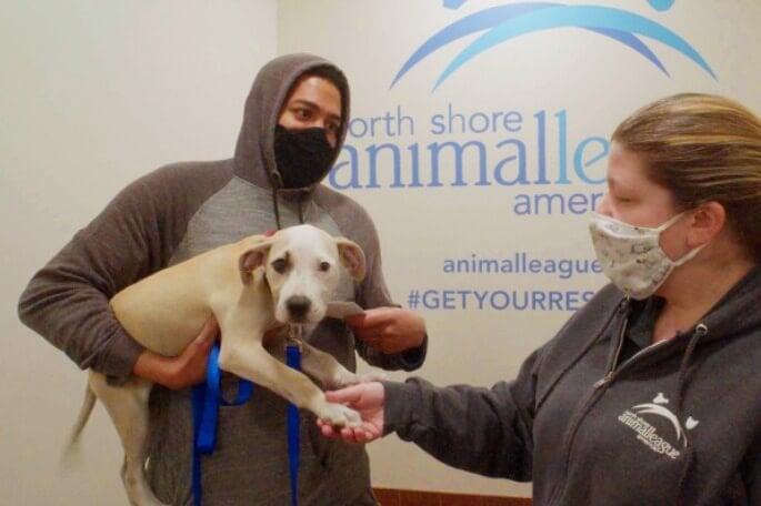 Homem adotando cachorro