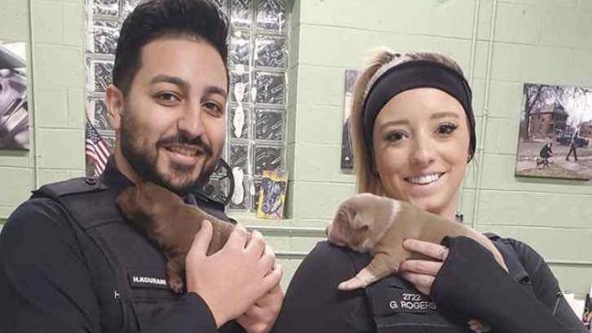 Foto: reprodução/Facebook Detroit Pit Crew Dog Rescue