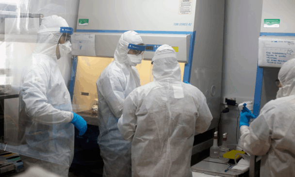 Profissionais utilizam EPIs em sala de testagem