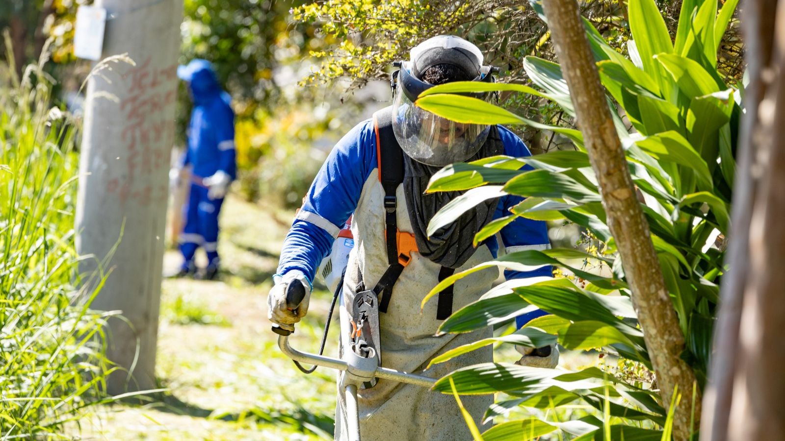 Programa Quem Ama Cuida, em Jundiaí