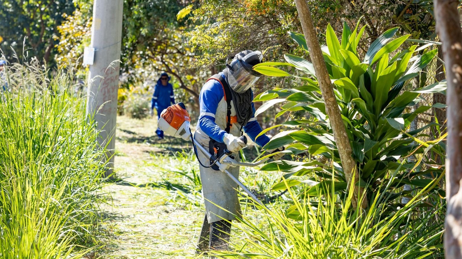 Programa Quem Ama Cuida, em Jundiaí