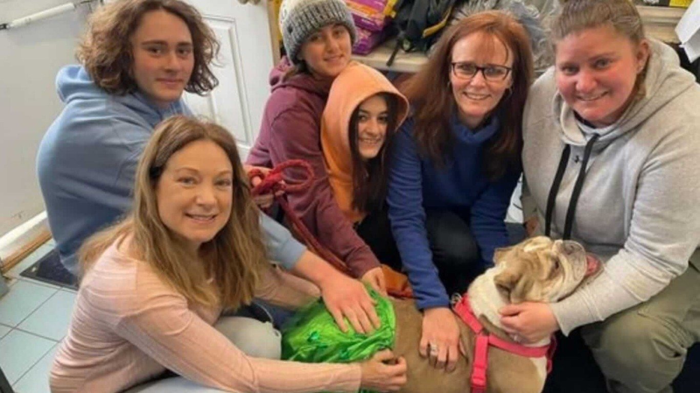 Mulheres abraçando cachorro bulldog