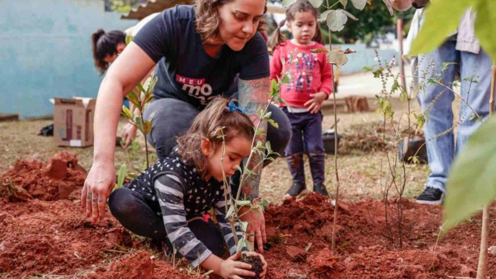 Plantio de árvore com crianças.