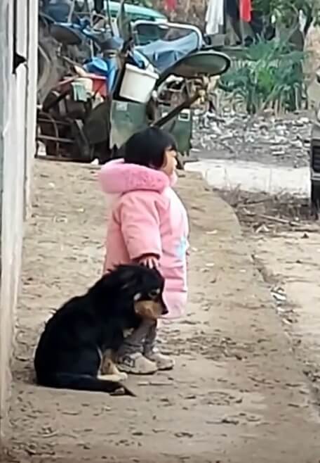 Menina fazendo carinho em cachorro