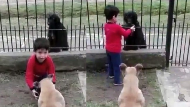 Foto: reprodução/Instagram