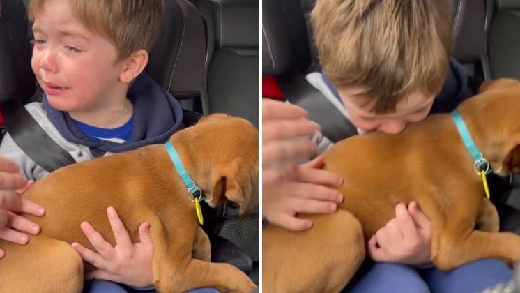 Menino se emociona ao abraçar seu cãozinho pela primeira vez