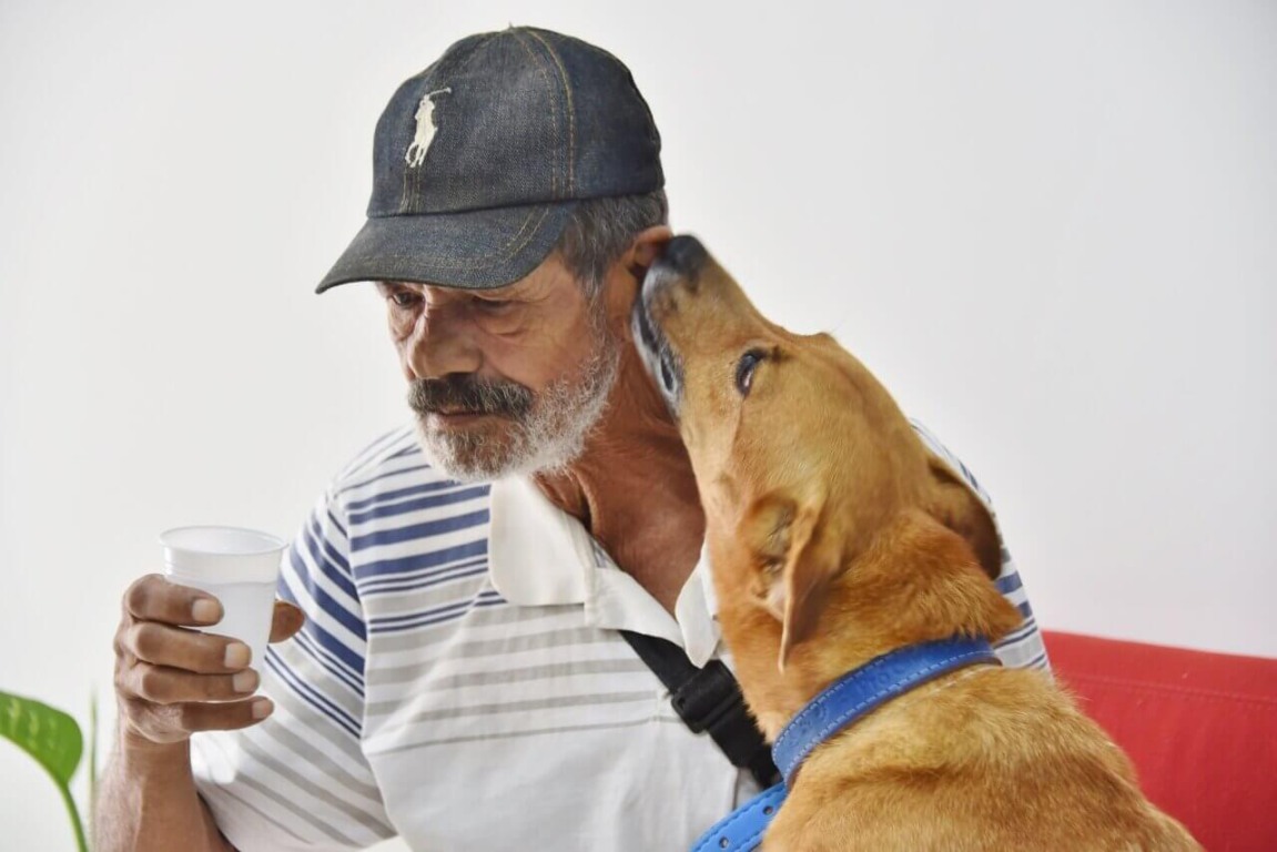 Cachorro lambendo tutor